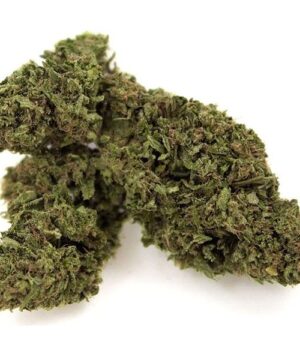 Buy uk cheese strain online