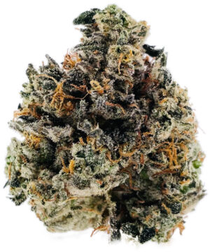 buy ghost og strain online