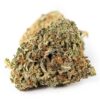 buy death rockstar strain online