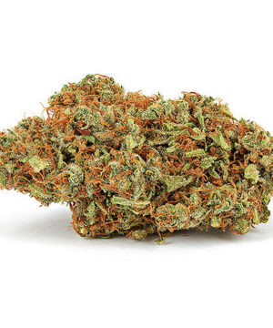 buy god bud strain online