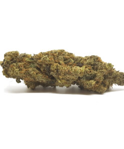 BUY MEDIBUD STRAIN ONLINE
