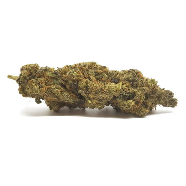  BUY MEDIBUD STRAIN ONLINE