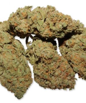buy white widow strain online