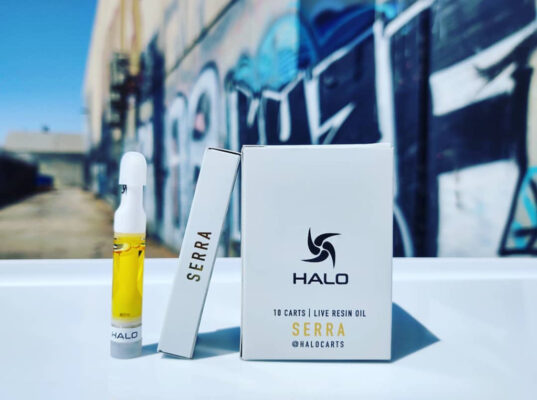 are halo carts fake, are halo carts good, are halo carts indica or sativa, are halo carts legit, are halo carts real, Buy Halo Cartridge Online, Buy Halo Cartridges Online, Buy Halo Carts, Buy Halo Carts Disposable Online, Buy Halo Carts Online, Buy Halo Vape Carts Online, dole whipper halo cart, ecigarette halo cartridges, fake halo carts, garfield cart is halo, halo cargo cart, Halo Cart, Halo Cart For Sale, Halo Cart Near Me, halo cart price, halo cart review, Halo Cartridge, Halo Cartridge For Sale, Halo Cartridge Near Me, Halo Cartridges, Halo Cartridges For Sale, Halo Cartridges Near me, Halo Carts, Halo Carts Disposable, Halo Carts Disposable For Sale, Halo Carts Disposable Near Me, halo carts fake, Halo Carts For Sale, halo carts lab results, halo carts legit, Halo Carts Near Me, halo carts packaging, halo carts price, halo carts real, halo carts reddit, halo carts review, halo carts reviews, halo carts sativa or indica, halo carts strains, halo carts thc, halo carts thc percentage, halo carts zkittlez, halo cbd cartridges proper, halo clip cart, halo dab cart, halo dab carts, halo delta 8 cart, halo delta 8 cartridges, halo delta 8 carts, halo e cig cartridges, halo e cig shopping cart, halo elite shopping cart, halo ether carts, halo floodgate utility cart, halo g6 cartridges, halo headlights golf cart, halo live resin carts, halo live resin carts price, halo live resin carts review, halo premium carts, halo premium carts price, halo resin carts, halo serra carts, halo tart cart, halo thc cart, halo thc carts, halo thc carts price, halo tobacco ecig cartridges, halo triton 2 and prefilled carts, halo triton 2 for dab carts, halo triton 510 cartridges, halo triton for dab carts, halo vape cartridges, Halo Vape Carts, Halo Vape Carts For Sale, Halo Vape Carts Near Me, halo warthog golf cart, halo wax carts, halo weed carts, how much are halo carts, how much thc is in halo cartshalo carts real or fake, how to open halo carts, jack zero halo cart, megabloks halo instructions cart, Order Halo Cartridge, Order Halo Cartridges, Order Halo Carts Disposable Online, Order Halo Carts Online, Order Halo Vape Carts Online, pink halo diamond engagement ring 6 carts, prefilled cartridges halo 6, purple stomper halo cart, thc distillate cartridges halo trition 2, where to buy halo carts
